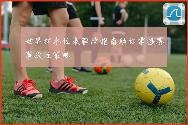 世界杯水位表解读指南助你掌握赛事投注策略