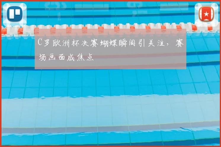 C罗欧洲杯决赛蝴蝶瞬间引关注,赛场画面成焦点